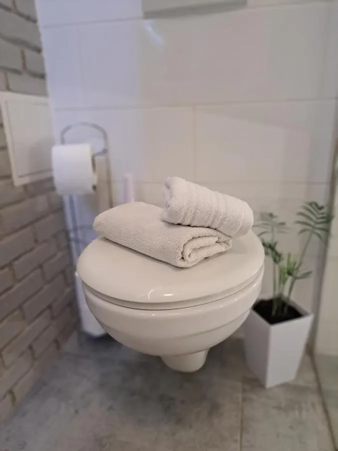 Studio Apartman Natasha Rijeka Apartment