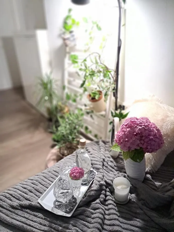 Studio Apartman Natasha Rijeka 0*,